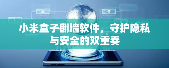 小米盒子翻墙软件,守护隐私与安全的双重奏 小米盒子翻墙软件,守护隐私与安全的双重奏