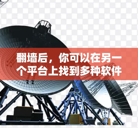 翻墙后，你可以在另一个平台上找到多种软件或工具，以下是一些通用的建议