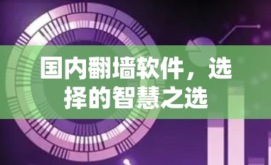 国内翻墙软件，选择的智慧之选