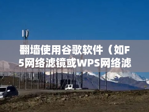 翻墙使用谷歌软件（如F5网络滤镜或WPS网络滤镜）的方法如下