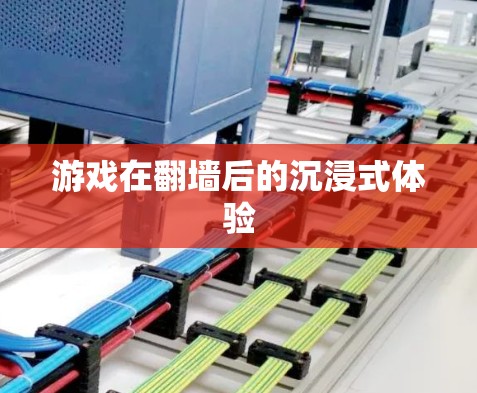 游戏在翻墙后的沉浸式体验