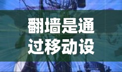 翻墙是通过移动设备的物理墙壁来代替网络设备的物理墙壁，通常用于减少网络使用或连接其他设备。以下是一个按步骤简要的翻墙操作指南，帮助您更好地理解和执行翻墙