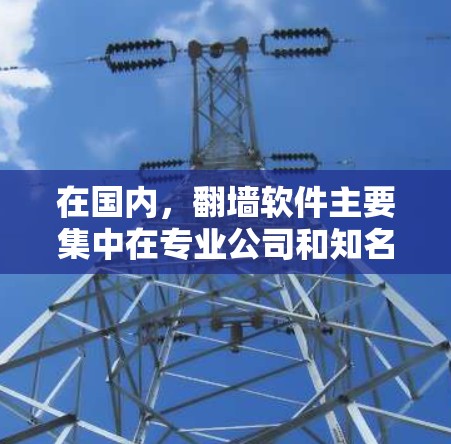 在国内，翻墙软件主要集中在专业公司和知名品牌之间，以保护用户隐私、防止网络攻击和恶意软件的传播。以下是国内知名手机翻墙软件的排行