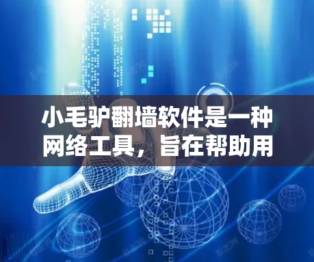 小毛驴翻墙软件是一种网络工具，旨在帮助用户访问其他网站，自动切换到安全的网站。它通过输入特定的URL来实现这一点，用户无需手动访问目标网站。以下是对该软件的详细介绍