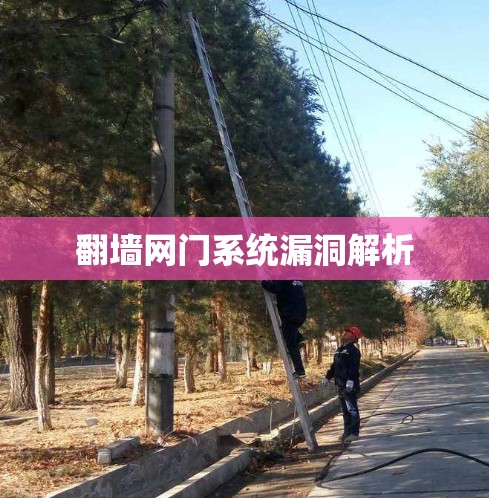 翻墙网门系统漏洞解析
