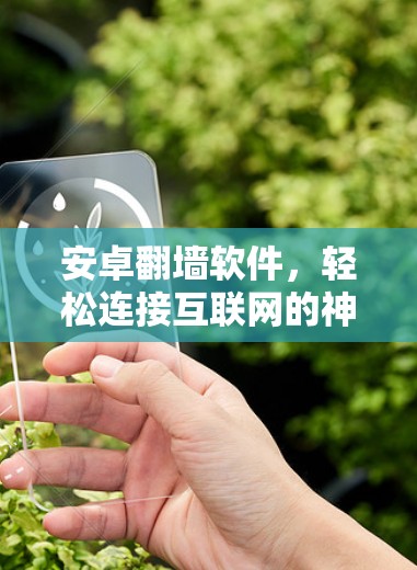 安卓翻墙软件，轻松连接互联网的神器