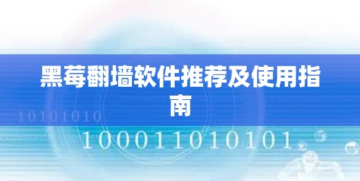 黑莓翻墙软件推荐及使用指南