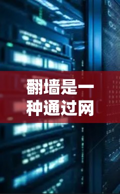 翻墙是一种通过网络设备或软件将资源从一个网络转移到另一个网络的技术。以下是一些能够实现翻墙的软件和工具，涵盖了基于NAT交换机和移动设备的解决方案