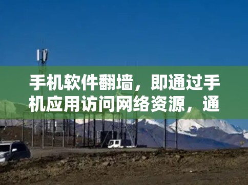 手机软件翻墙，即通过手机应用访问网络资源，通常涉及以下几个方面