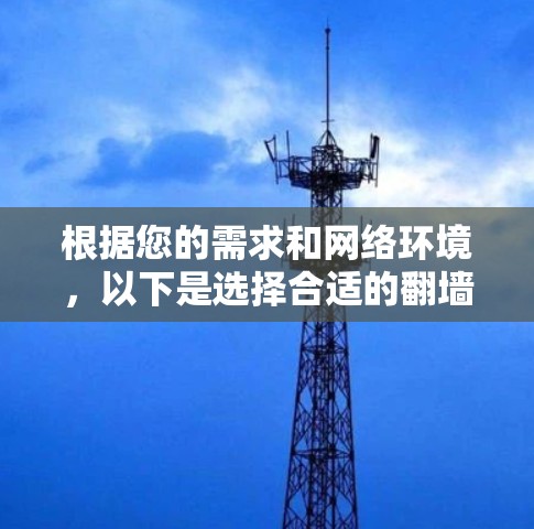根据您的需求和网络环境，以下是选择合适的翻墙软件的建议