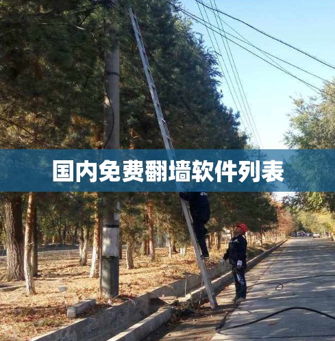 国内免费翻墙软件列表