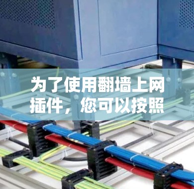 为了使用翻墙上网插件，您可以按照以下步骤进行配置和安装