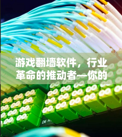 游戏翻墙软件，行业革命的推动者—你的游戏何时也能飞起来？