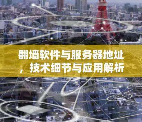 翻墙软件与服务器地址，技术细节与应用解析