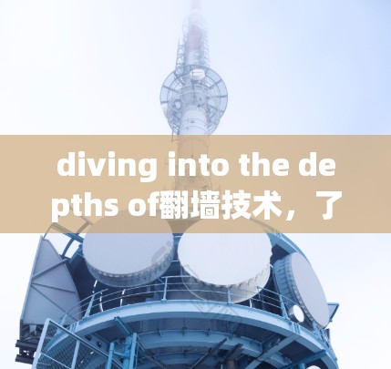 diving into the depths of翻墙技术，了解其实际用途与挑战
