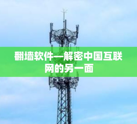 翻墙软件—解密中国互联网的另一面