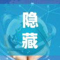 隐藏应用，翻墙软推荐手机软件的使用与问题解析
