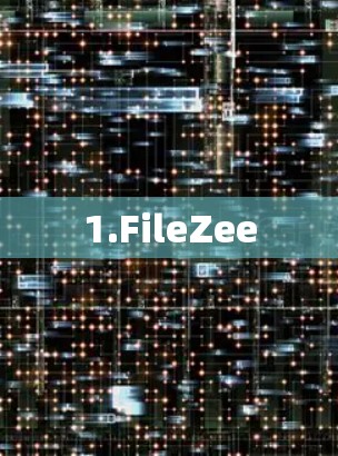 1.FileZee
