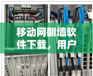移动网翻墙软件下载，用户真实需求与解决方案