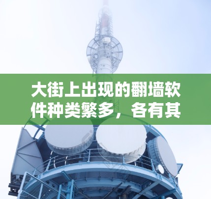 大街上出现的翻墙软件种类繁多，各有其特点和适用场景。以下是一些常见的翻墙软件及其特点