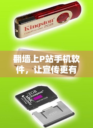 翻墙上P站手机软件，让宣传更有效
