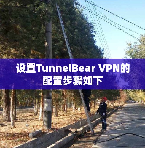 设置TunnelBear VPN的配置步骤如下
