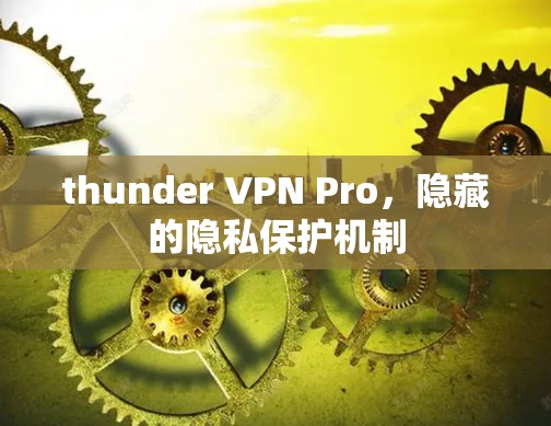 thunder VPN Pro,隐藏的隐私保护机制 thunder VPN Pro,隐藏的隐私保护机制