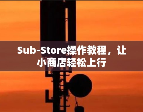 Sub-Store操作教程，让小商店轻松上行