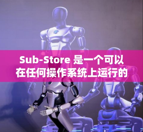 Sub-Store 是一个可以在任何操作系统上运行的软件包，可以安装到命令行或终端中。安装 Sub-Store 的步骤如下