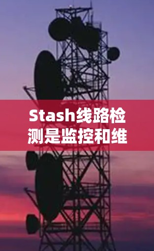 Stash线路检测是监控和维护大型网络设备的关键方法，通过综合使用静态检测、动态检测和机器学习检测，确保设备正常工作并预防攻击。以下是详细的步骤和建议