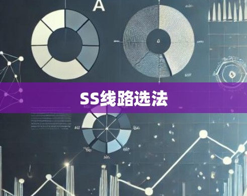 SS线路选法