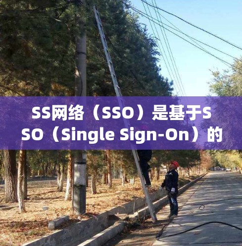 SS网络（SSO）是基于SSO（Single Sign-On）的网络解决方案，旨在简化用户登录、访问和访问控制操作，从而提升用户体验和网络稳定性。以下是一些关于SS网络稳定方案的常见问题和解决方案