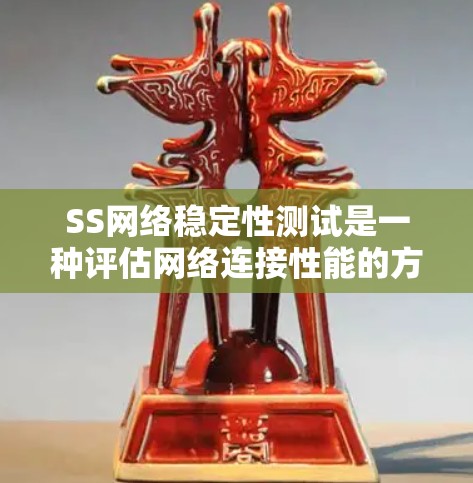 SS网络稳定性测试是一种评估网络连接性能的方法，通过网络测试工具（如YWIMin）来显示网络连接的延迟、稳定性、最大带宽、网络延迟、连接效率等指标。以下是针对SS测试的详细指南