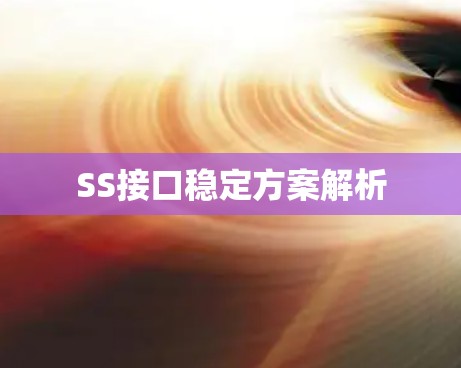 SS接口稳定方案解析