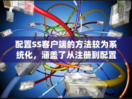 配置SS客户端的方法较为系统化，涵盖了从注册到配置日志的各个步骤。以下是一个详细的步骤指南，帮助您系统地配置SS客户端