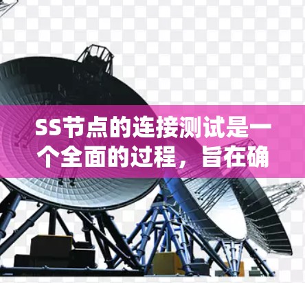 SS节点的连接测试是一个全面的过程，旨在确保SS节点在分布式系统中正常工作，包括事务管理、数据读写和资源分配。以下是对SS节点连接测试的详细步骤和预期结果的总结