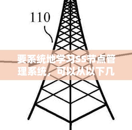 要系统地学习SS节点管理系统，可以从以下几个步骤进行