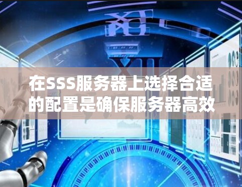在SSS服务器上选择合适的配置是确保服务器高效和安全的重要步骤。以下是详细的步骤指南，帮助你顺利配置