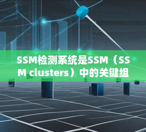 SSM检测系统是SSM（SSM clusters）中的关键组件，用于监控和管理SS servers。以下是对SSM检测系统的学习总结