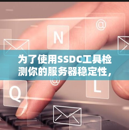 为了使用SSDC工具检测你的服务器稳定性，按照以下步骤进行