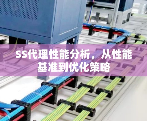 SS代理性能分析，从性能基准到优化策略