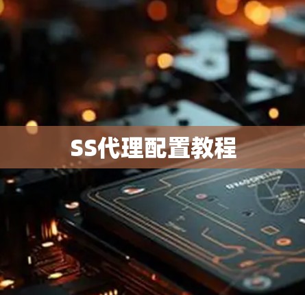 SS代理配置教程
