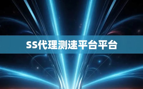 SS代理测速平台平台
