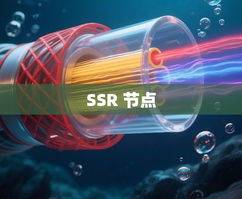 SSR 节点