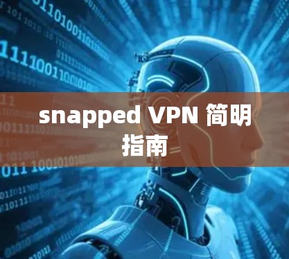 snapped VPN 简明指南 snapped VPN 简明指南