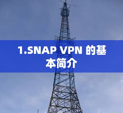 1.SNAP VPN 的基本简介 1.SNAP VPN 的基本简介