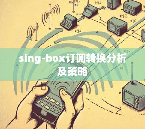 sing-box订阅转换分析及策略 sing-box订阅转换分析及策略