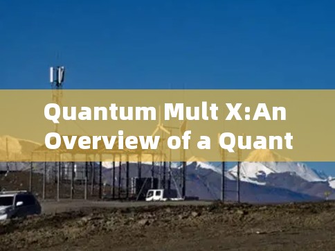 Quantum Mult X:An Overview of a Quantum Computing Client