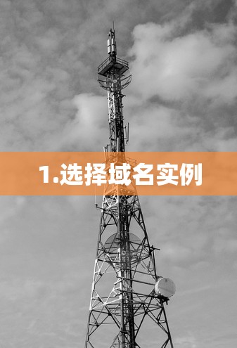 1.选择域名实例