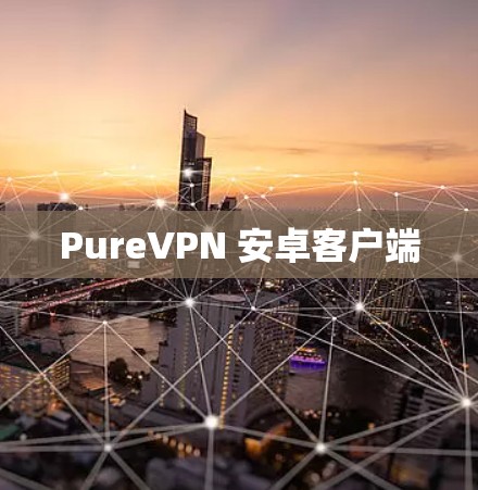 PureVPN 安卓客户端